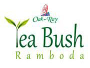 Oak Ray Tea Bush Ramboda